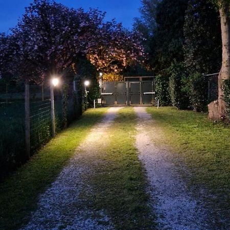 La Casina Apartament Ferrara Dış mekan fotoğraf